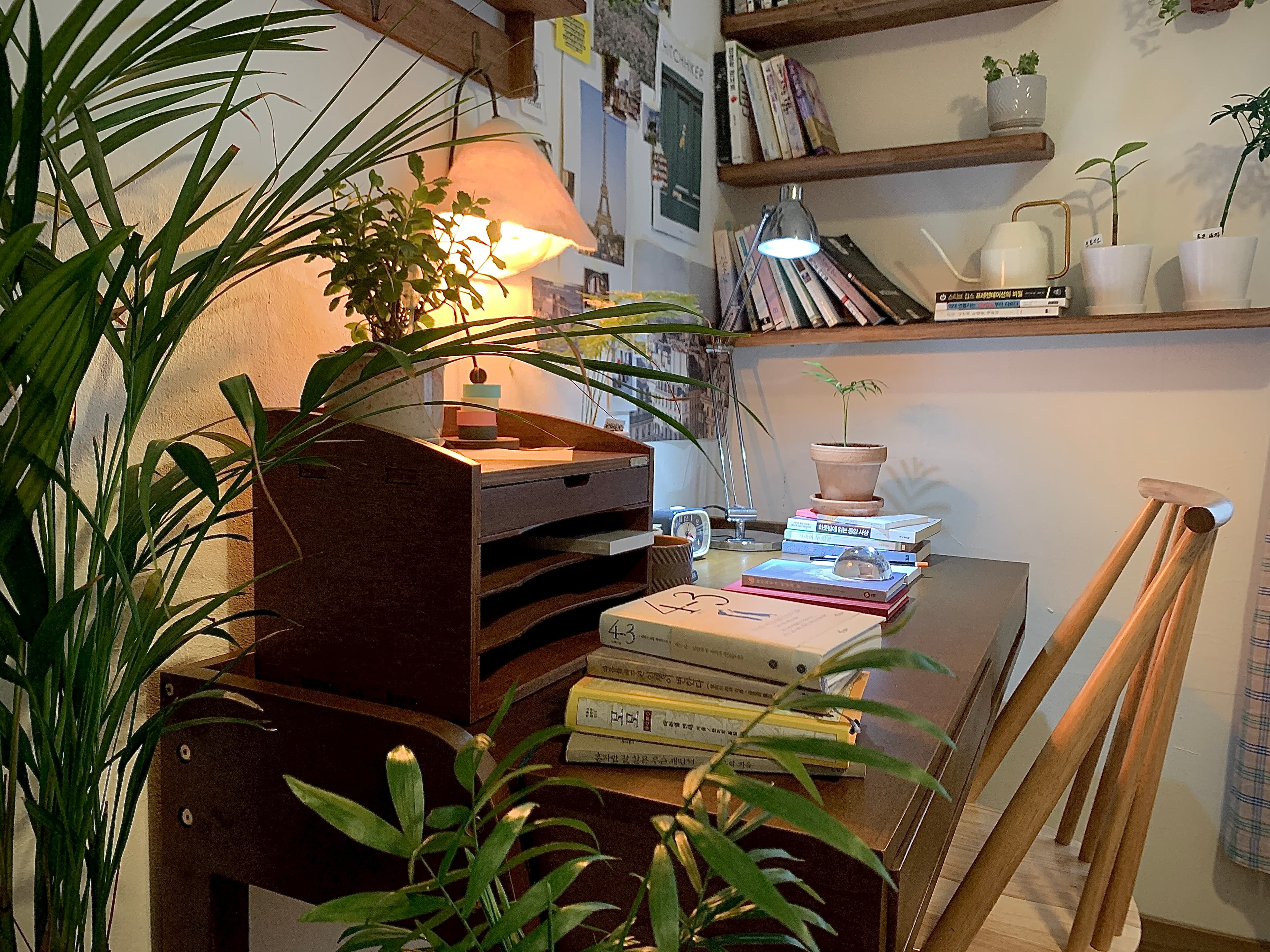 Pilsa Room (필사의방)